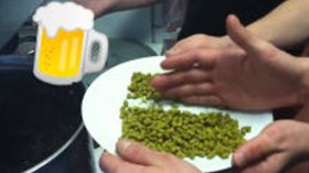 Brewing Icy Spring Scout 2011