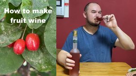 Making fruit wine from unknown Korean fruits